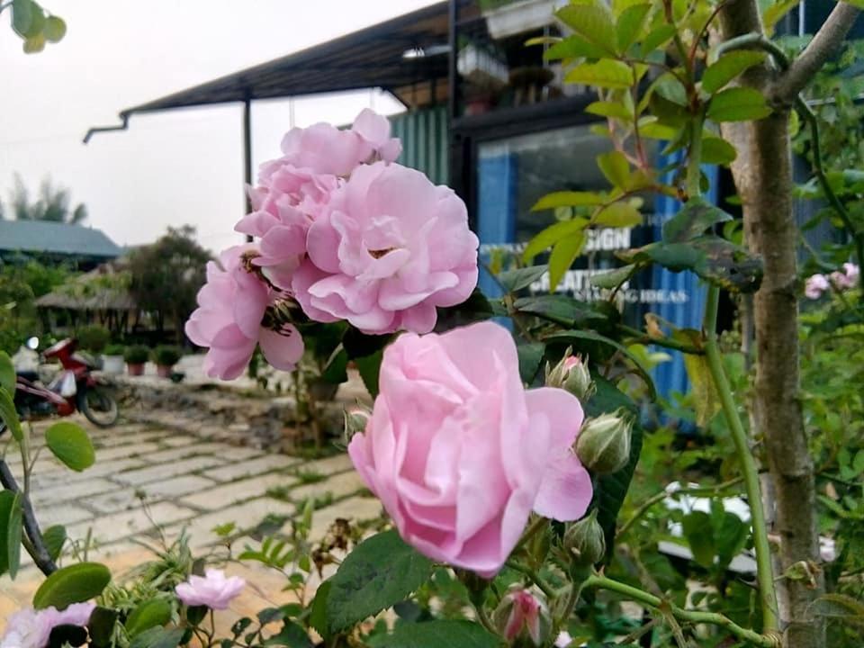 Bed and Breakfast Savana Moc Chau Exteriér fotografie